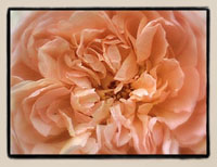 Abraham Darby, detail