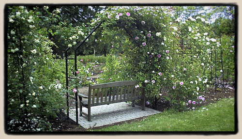 Avery Park arches