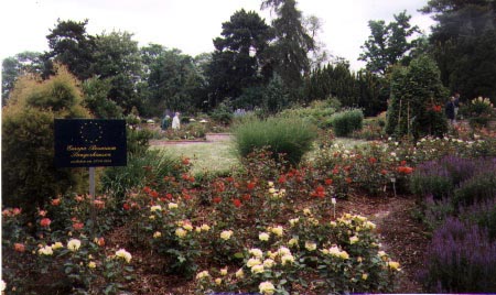 Sangerhausen Entryway