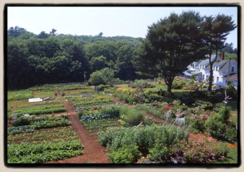 A view of Northcreek Farm